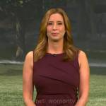 Stephanie Abrams’ dark purple seamed dress on CBS Mornings