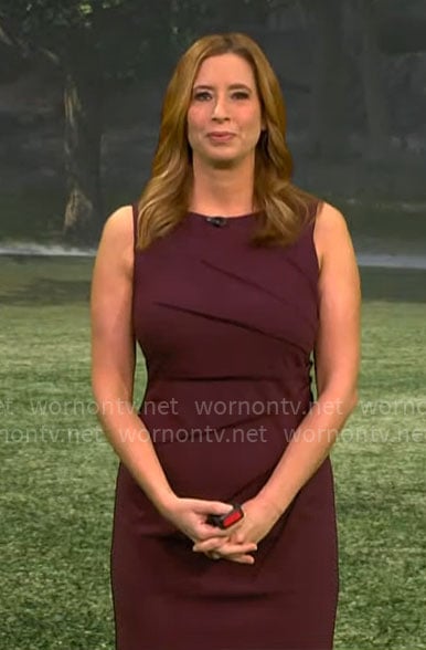 Stephanie Abrams’ dark purple seamed dress on CBS Mornings
