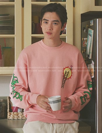 Steve’s pink sweatshirt on The Summer I Turned Pretty