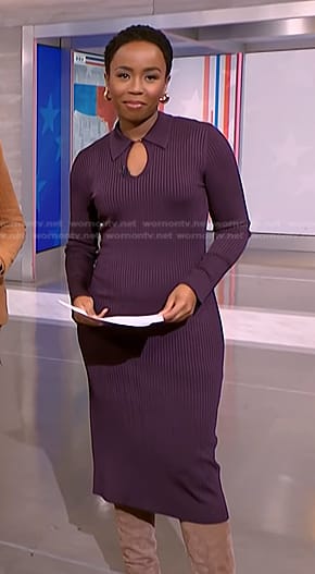 Zinhle Essamuah’s purple ribbed dress on NBC News Daily