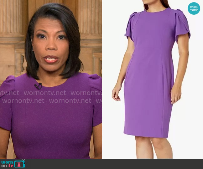 Calvin Klein Tulip Sleeve Sheath Dress worn by Nikole Killion on CBS Mornings