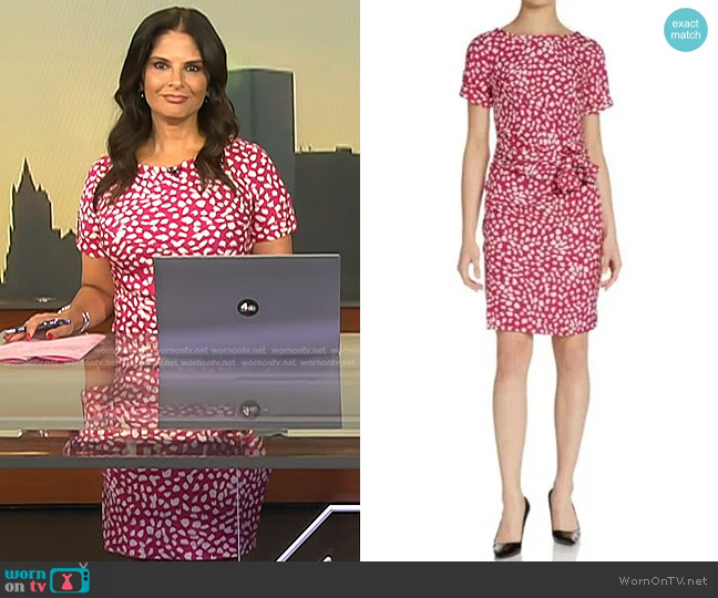 Diane von Furstenberg Leron Dress worn by Darlene Rodriguez on Today