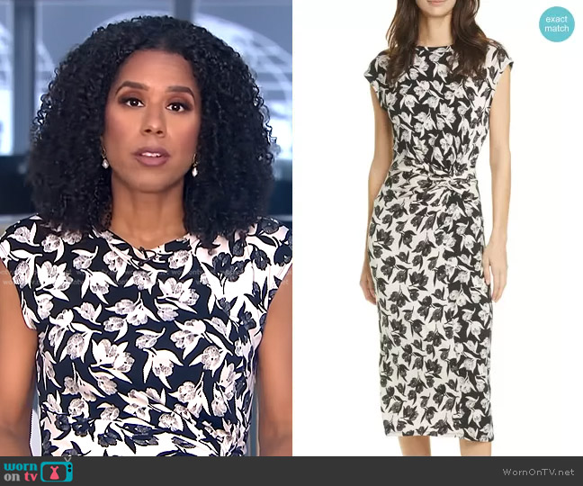Joie Zuzanna Dress worn by Adriana Diaz on CBS Evening News