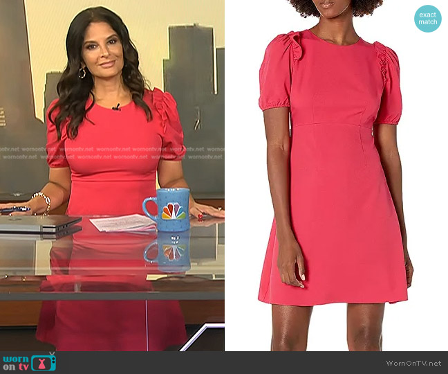 Lark & Ro Puff Half Sleeve Empire Waist Dress worn by Darlene Rodriguez on Today