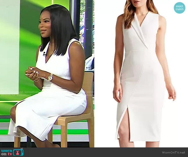 Ted Baker Tilolah Seamed Bodycon Dress worn by Dr. Michelle Henry on Today
