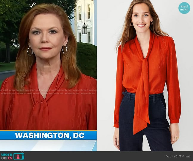 Ann Taylor Chain Jacquard Tie Neck Top worn by Kelly O’Donnell on Today