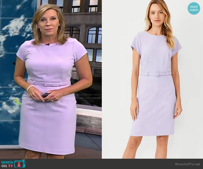 Ann Taylor The Seamed Belted Dress in Soft Violet Bi-Stretch worn by Jacqui Jeras on CBS Evening News