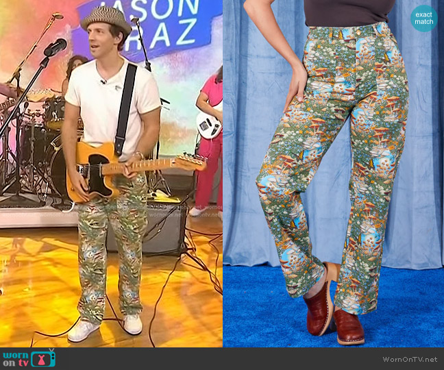 Big Bud Press Fungi Fantasy Work Pants worn by Jason Mraz on Today