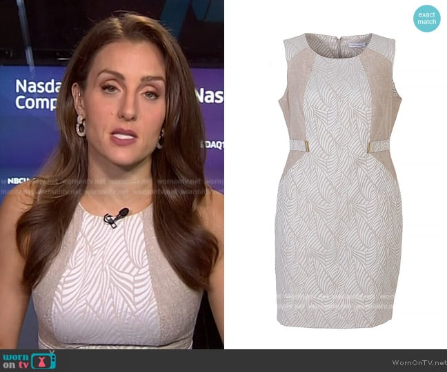 Calvin Klein Tapestry Sleeveless Dress worn by Kristina Partsinevelos on NBC News Daily