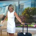 Dylan’s white floral lace dress and navy luggage on Today
