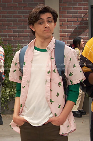 Neil’s pink printed shirt on Ravens Home