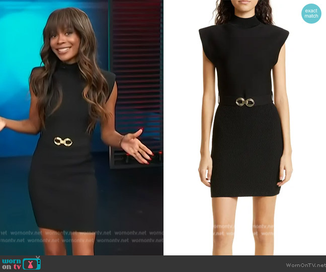 Rebecca Vallance Braque Belted Honeycomb Knit Dress worn by Zuri Hall on Access Hollywood