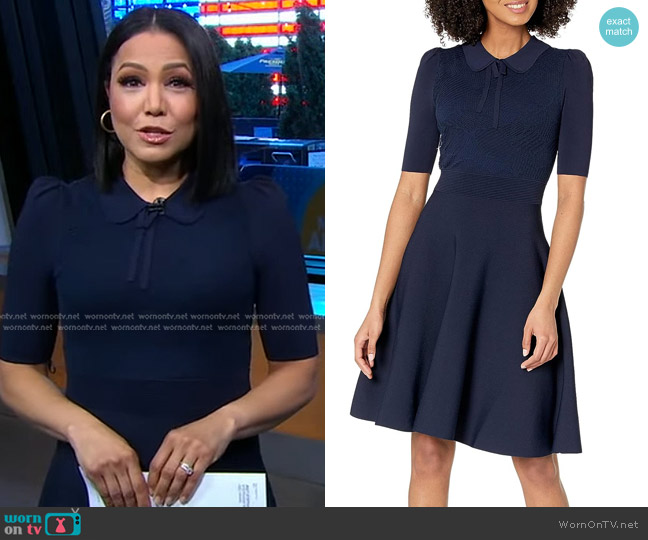 Ted Baker Hillder Delicate Pointelle Knit Dress worn by Stephanie Ramos on Good Morning America