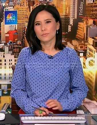 Vicky’s blue polka dot blouse on NBC News Daily