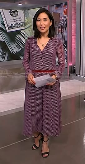 Vicky’s purple geometric print dress on NBC News Daily