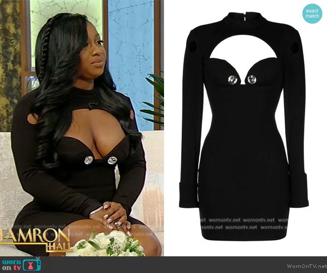 Area Bustier Cup Long Sleeve Dress worn by Reginae Carter on Tamron Hall Show