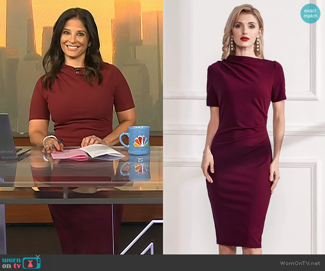WEHOMY Zip Back Solid Pencil Dress worn by Darlene Rodriguez on Today