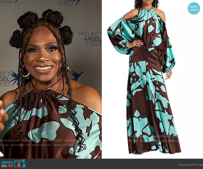 Silvia Tcherassi Bahar Split-Sleeve Silk-Blend Gown worn by Sheryl Lee Ralph on Extra