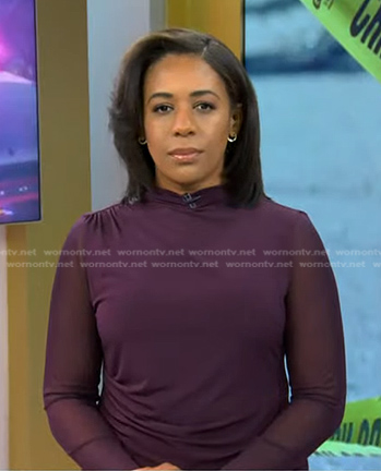 Dana Griffin’s purple mesh long sleeve top on Today
