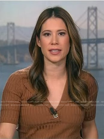 Deirdre Bosa’s brown ribbed top on NBC News Daily