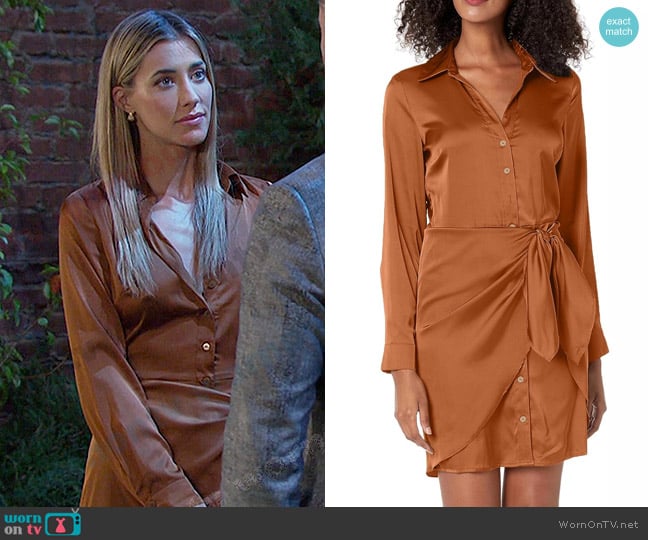 Guess Alya Long Sleeve Mini Shirtdress in Brown Leaf worn by Sloan Peterson (Jessica Serfaty) on Days of our Lives