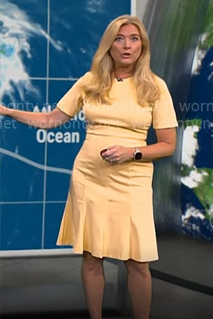 Kelly Cass’ yellow short sleeved dress on CBS Mornings