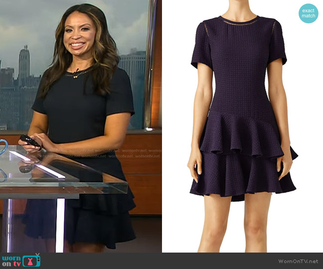 Rebecca Taylor Tiered Dress worn by Adelle Caballero on Today