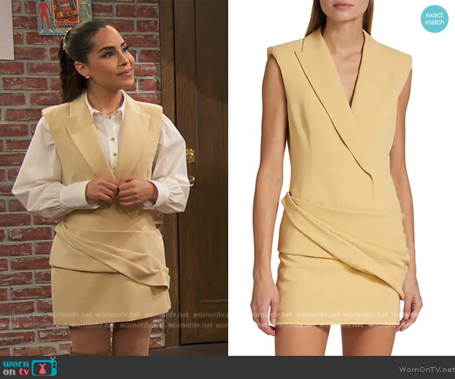 Simkhai Messina Mini Blazer Dress worn by (Juliana Joel) on Ravens Home