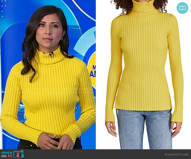 Tory Burch Rib Knit Turtleneck worn by Zohreen Shah on Good Morning America