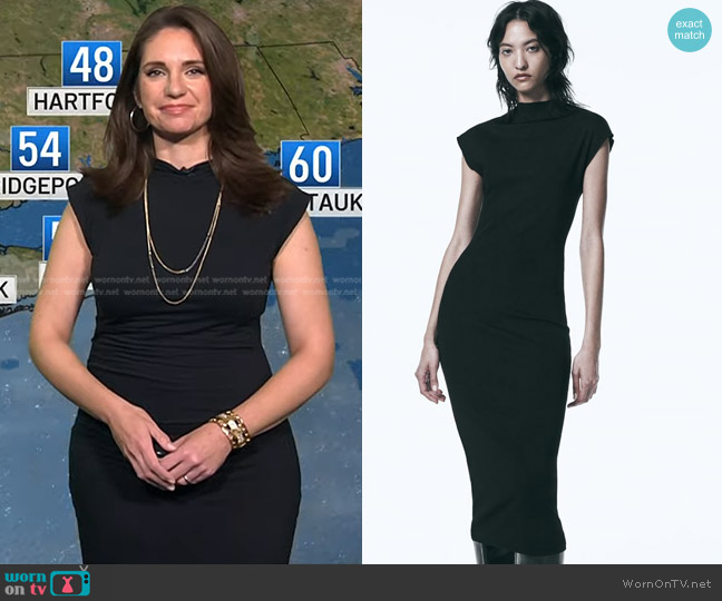 Zara Soft Stretch Dress worn by Maria Larosa on Today