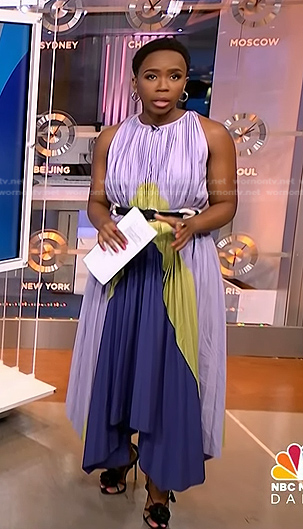 Zinhle’s purple pleated dress on NBC News Daily