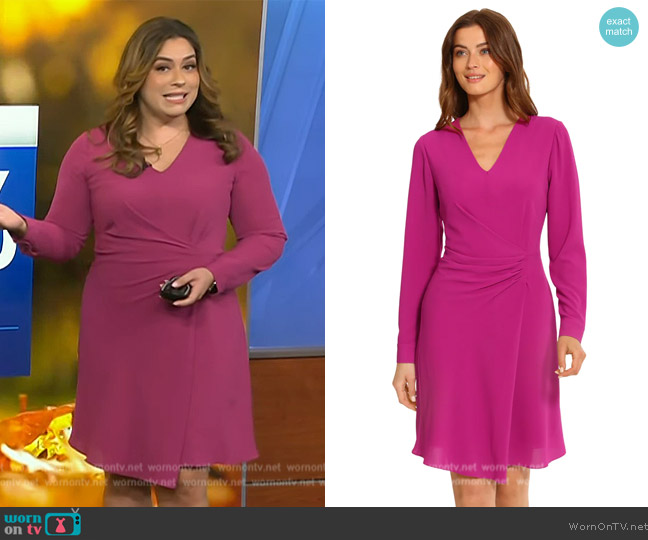Maggy London Iridessa Dress worn by Violeta Yas on NBC News Daily
