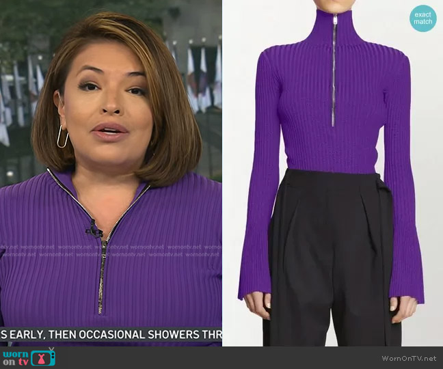 Proenza Schouler Rib-Knit Mock Turtleneck Sweater worn by Gilma Avalos on Today