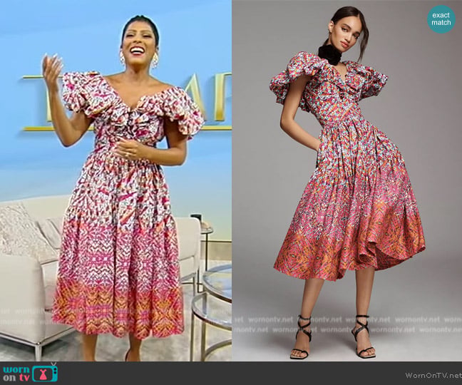 Sika Lupita V-Neck Ruffle-Sleeve Dress worn by Tamron Hall on Tamron Hall Show