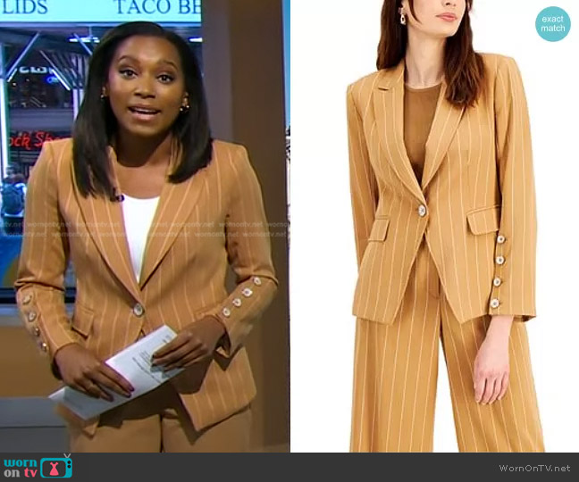 Tahari ASL Pinstripe Button-Sleeve Blazer worn by Rachel Scott on Good Morning America