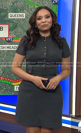 Adelle’s grey belted dress on Today