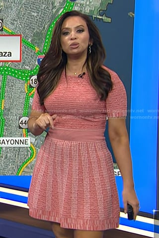 Adelle’s pink knit dress on Today