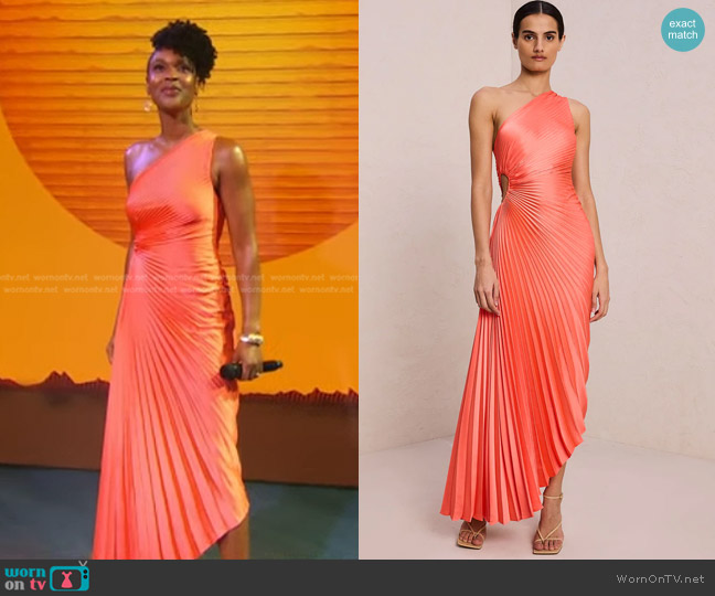 A.L.C. Delfina Pleated One-Shoulder Gown in Spiced Coral worn by Kissy Simmons on Good Morning America