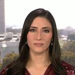 Allie Raffa’s burgundy floral dress on NBC News Daily