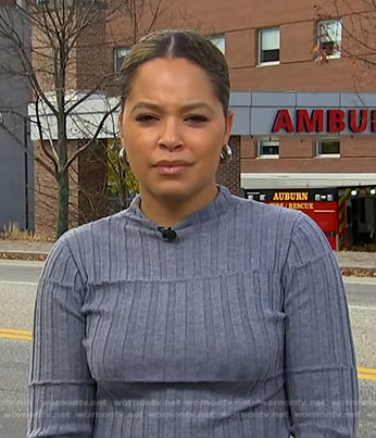 Antonia Hylton’s grey ribbed sweater on NBC News Daily