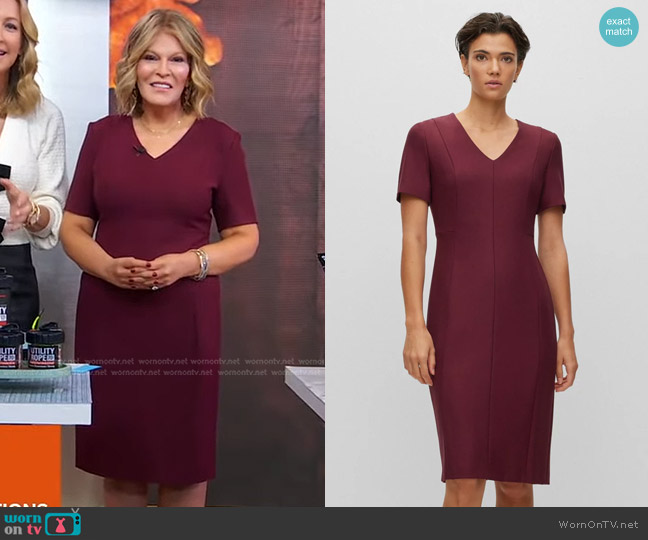 Boss V-Neck Dress with Short Sleeves worn by Tory Johnson on Good Morning America