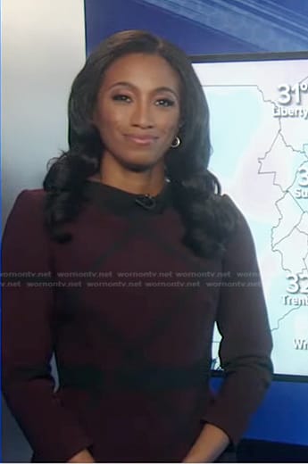 Brittany’s burgundy windowpane check dress on Good Morning America
