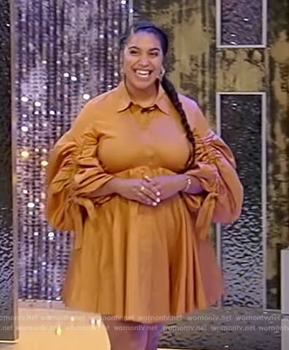 Elizabeth Acevedo’s brown ruched sleeve dress on Tamron Hall Show