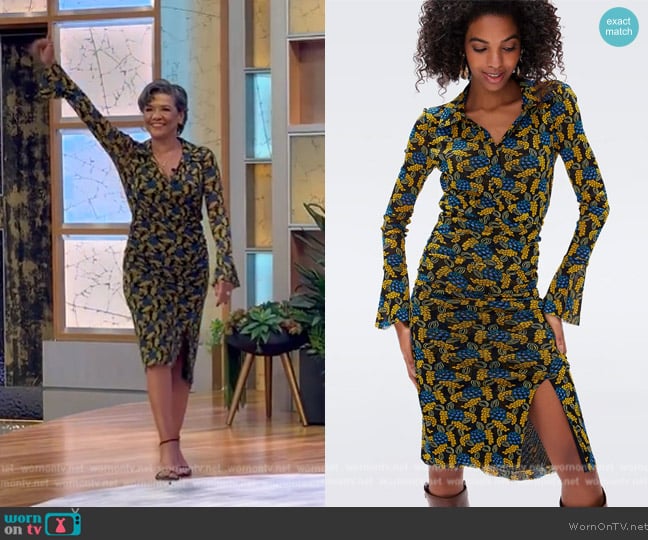 Diane Von Furstenberg Lilly Mesh Dress worn by Maria Figueroa Rodriguez on Tamron Hall Show