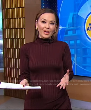 Eva’s brown ribbed turtleneck dress on Good Morning America