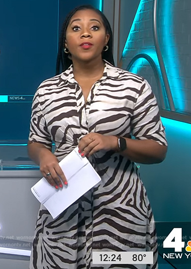 Kay’s zebra print shirtdress on NBC News Daily