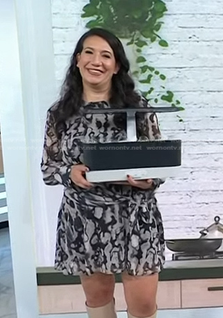 Nicole Papantoniou’s grey abstract print dress on Today