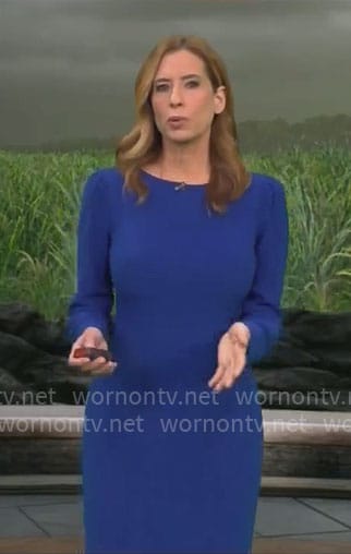 Stephanie Abrams’ blue long sleeved dress on CBS Mornings