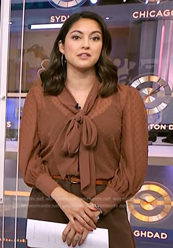 Valerie Castro’s brown tie neck sheer blouse on NBC News Daily