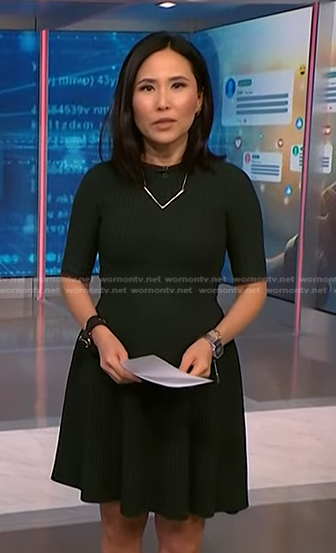 Vicky’s green ribbed dress on NBC News Daily